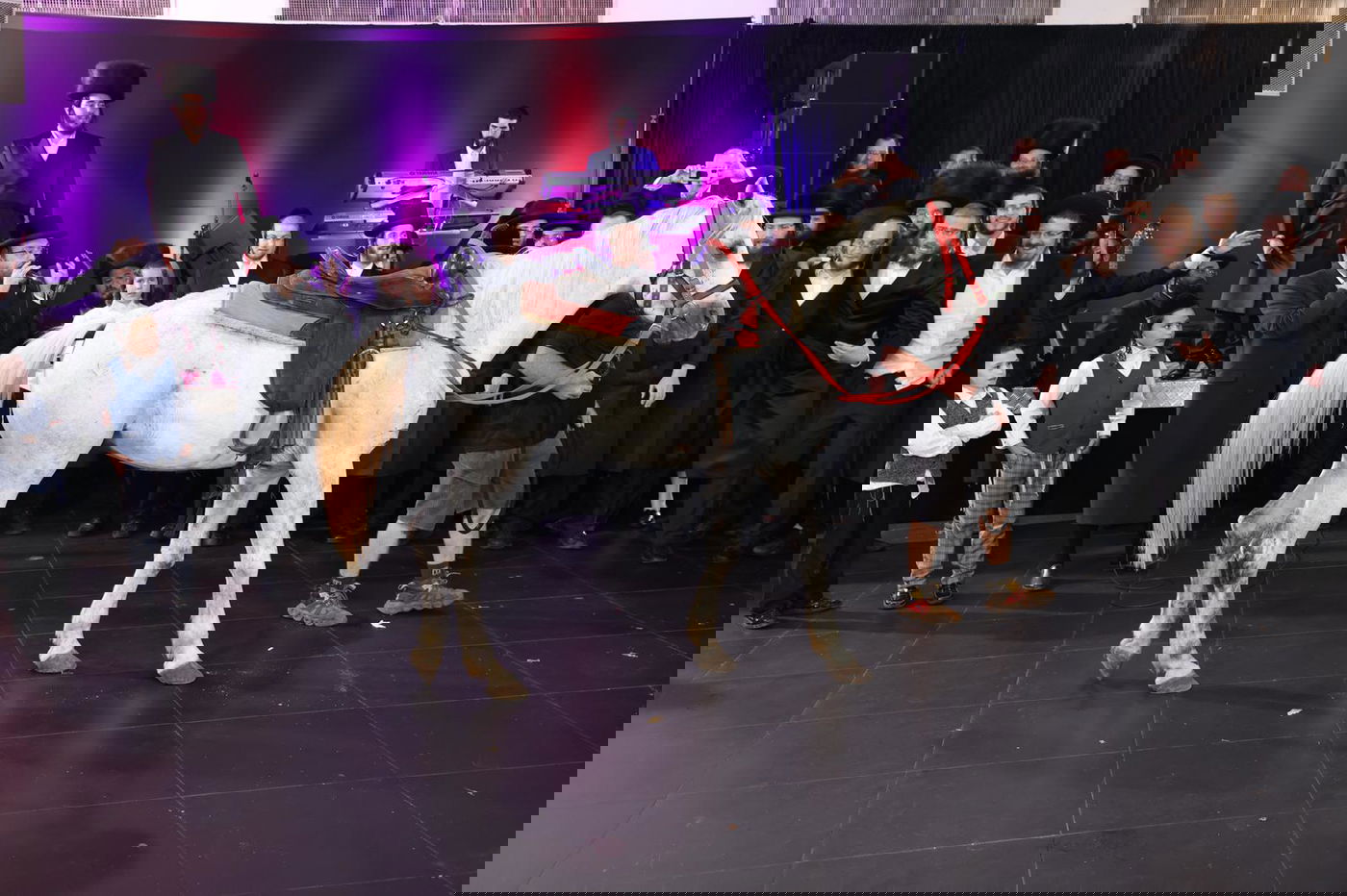 החתן יצא מהחדר ייחוד - והופתע לגלות... סוס