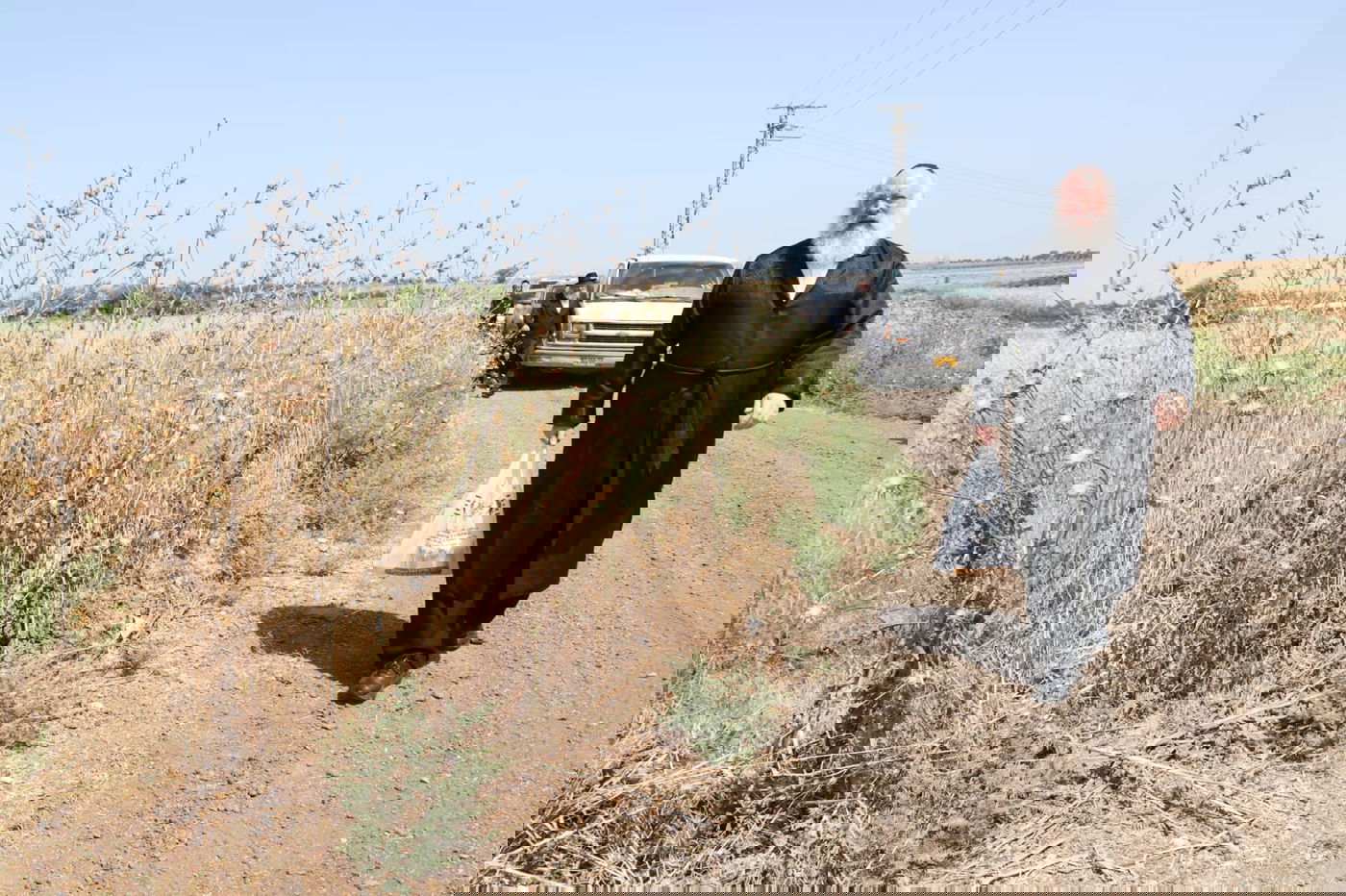 ה'חזונאישניקים' קצרו חיטים • צפו בתיעוד