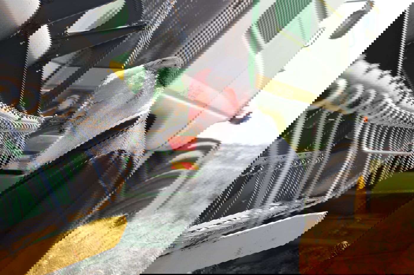 ה'חזונאישניקים' קצרו חיטים • צפו בתיעוד