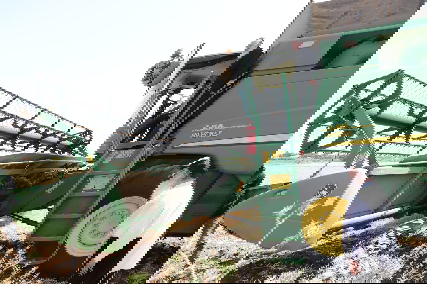 ה'חזונאישניקים' קצרו חיטים • צפו בתיעוד