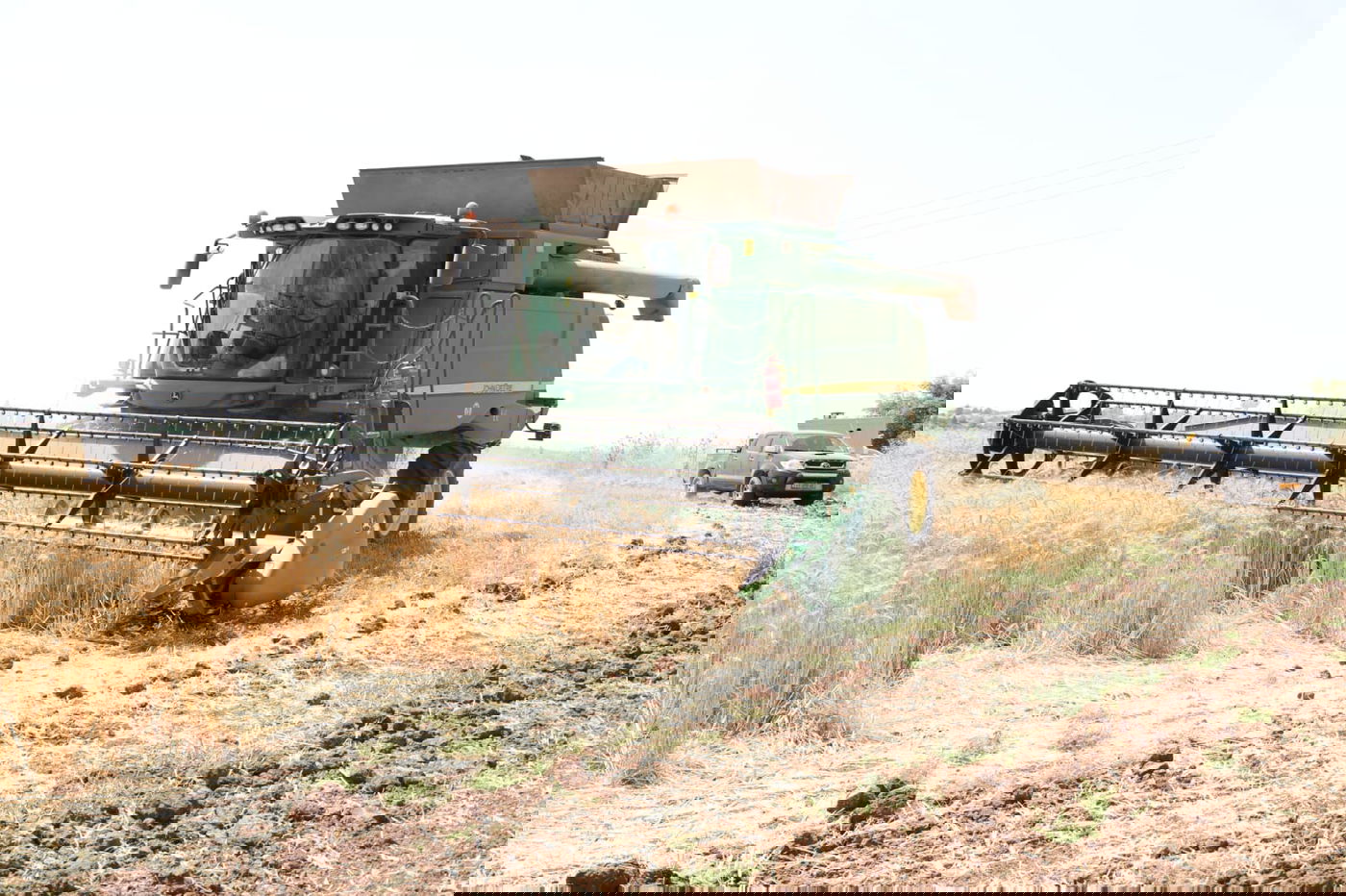 ה'חזונאישניקים' קצרו חיטים • צפו בתיעוד