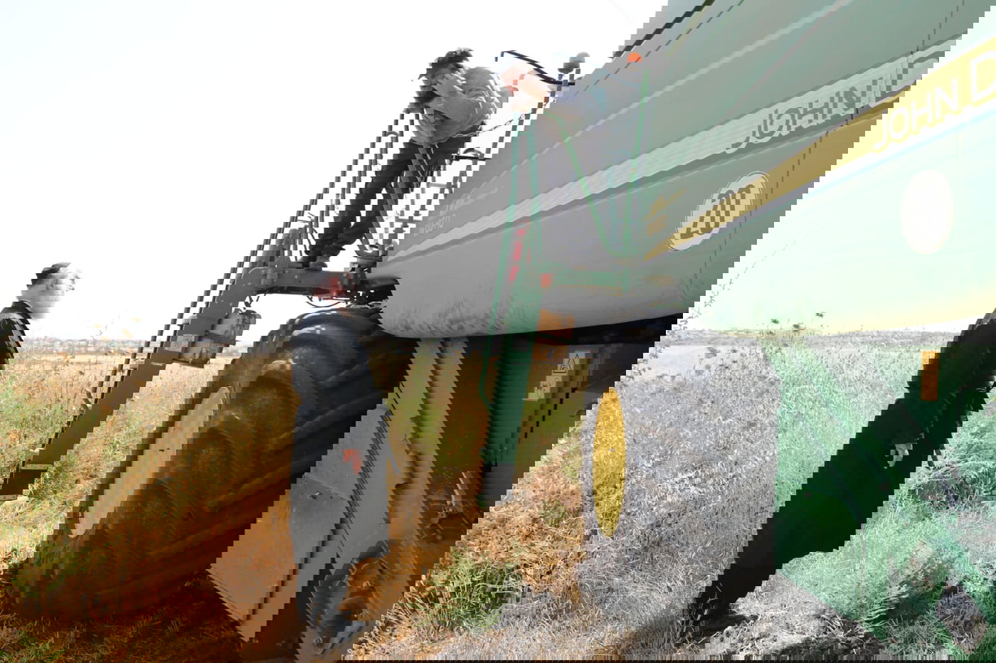 ה'חזונאישניקים' קצרו חיטים • צפו בתיעוד