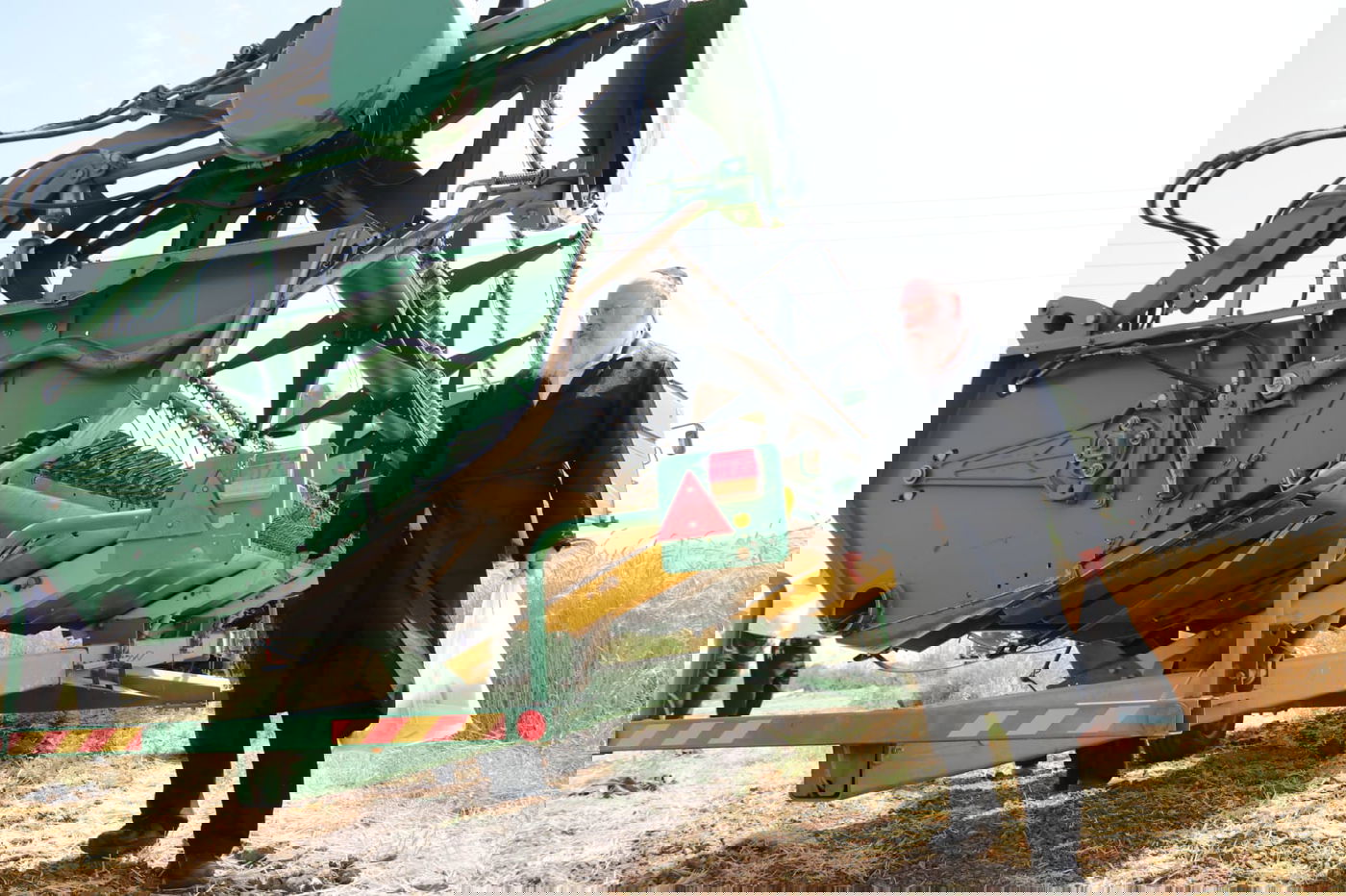 ה'חזונאישניקים' קצרו חיטים • צפו בתיעוד