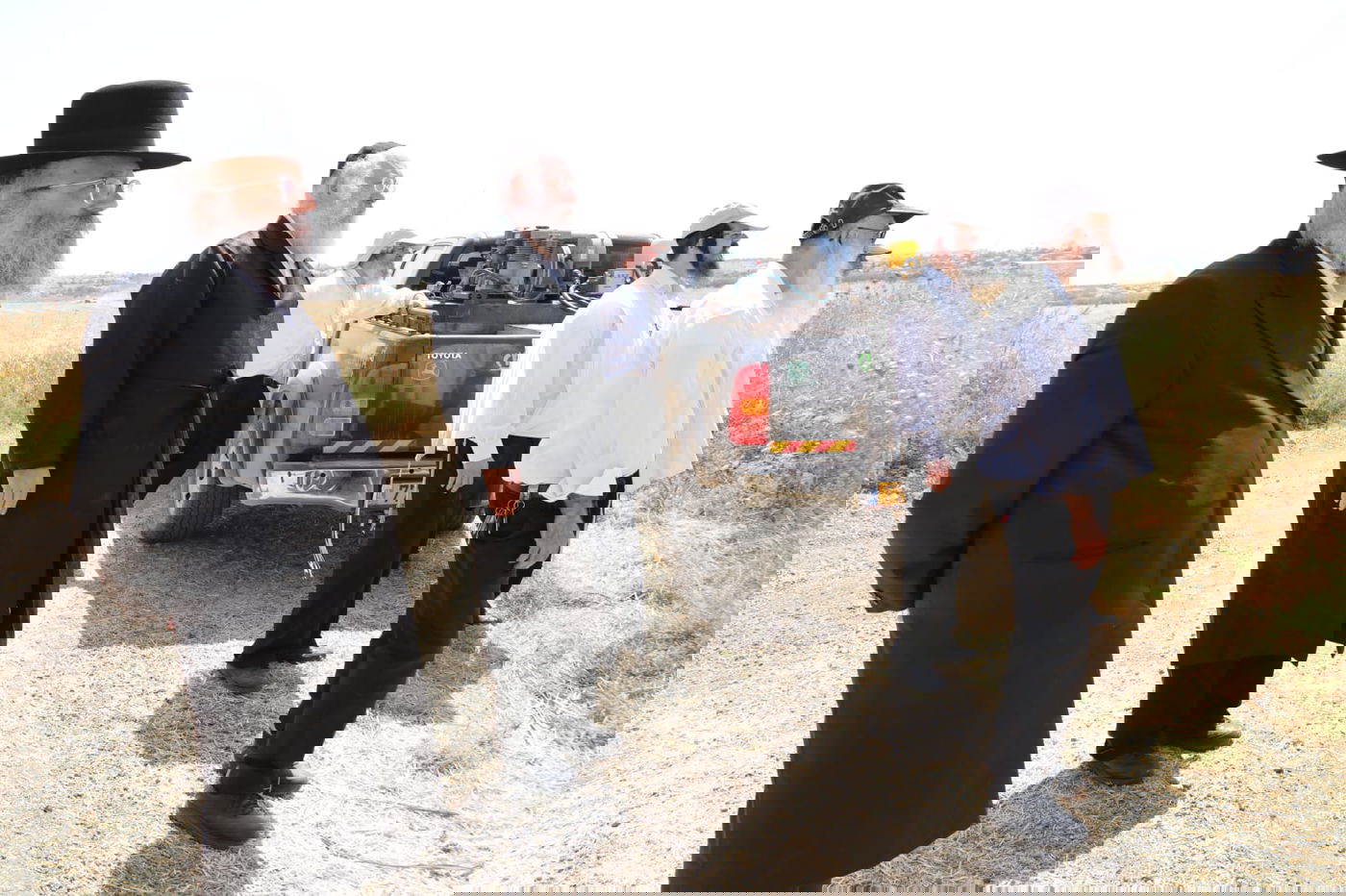 ה'חזונאישניקים' קצרו חיטים • צפו בתיעוד