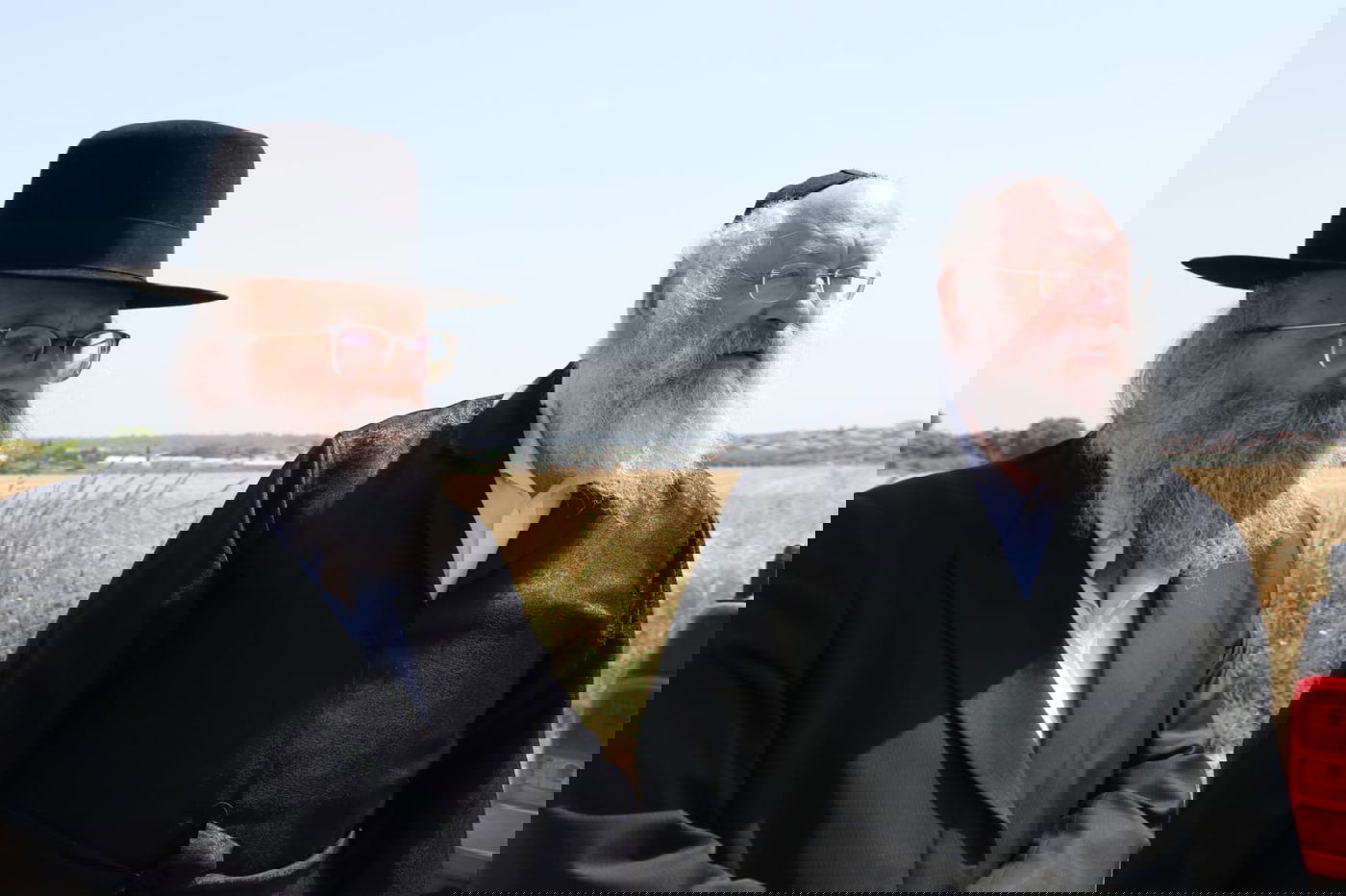 ה'חזונאישניקים' קצרו חיטים • צפו בתיעוד