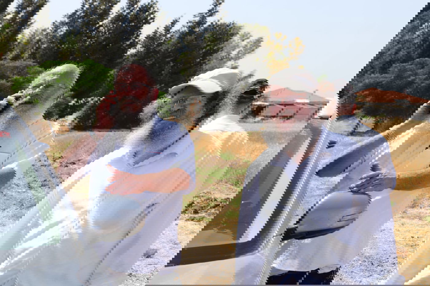 ה'חזונאישניקים' קצרו חיטים • צפו בתיעוד