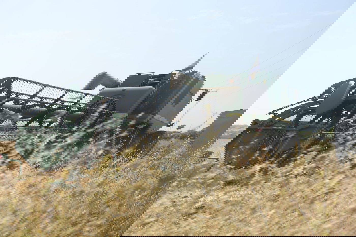 ה'חזונאישניקים' קצרו חיטים • צפו בתיעוד