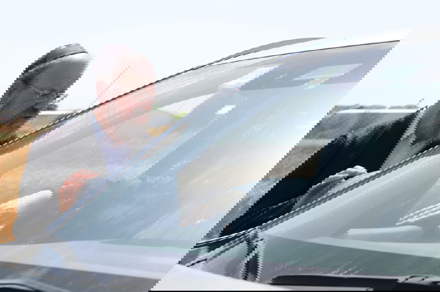 ה'חזונאישניקים' קצרו חיטים • צפו בתיעוד