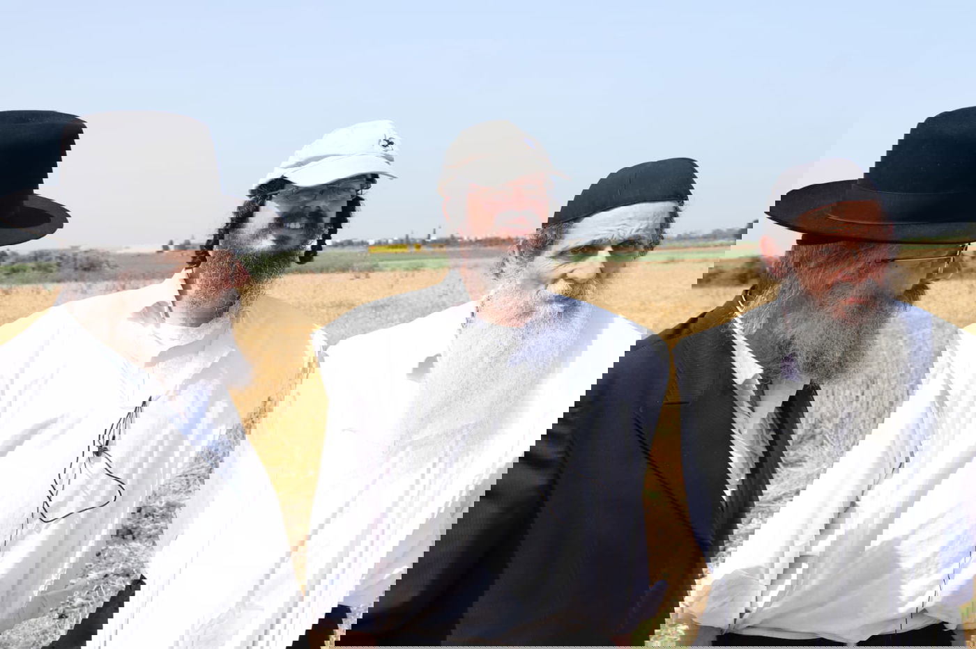 ה'חזונאישניקים' קצרו חיטים • צפו בתיעוד