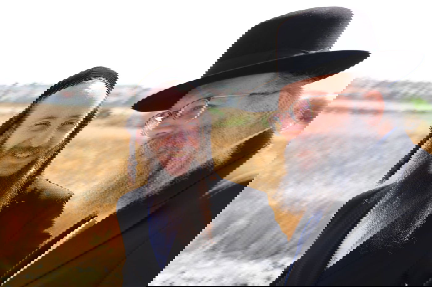 ה'חזונאישניקים' קצרו חיטים • צפו בתיעוד