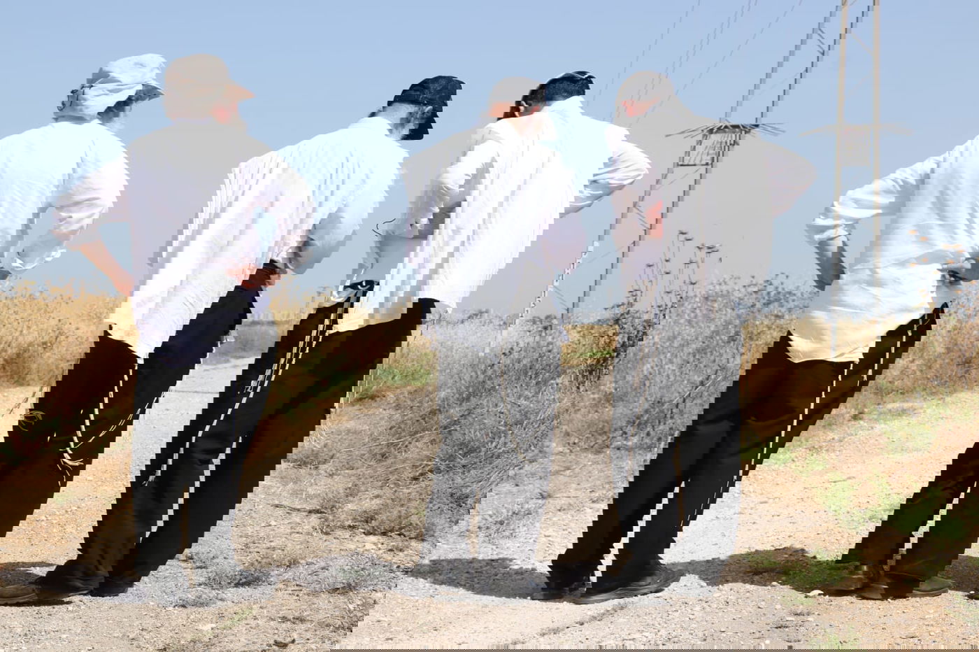 ה'חזונאישניקים' קצרו חיטים • צפו בתיעוד