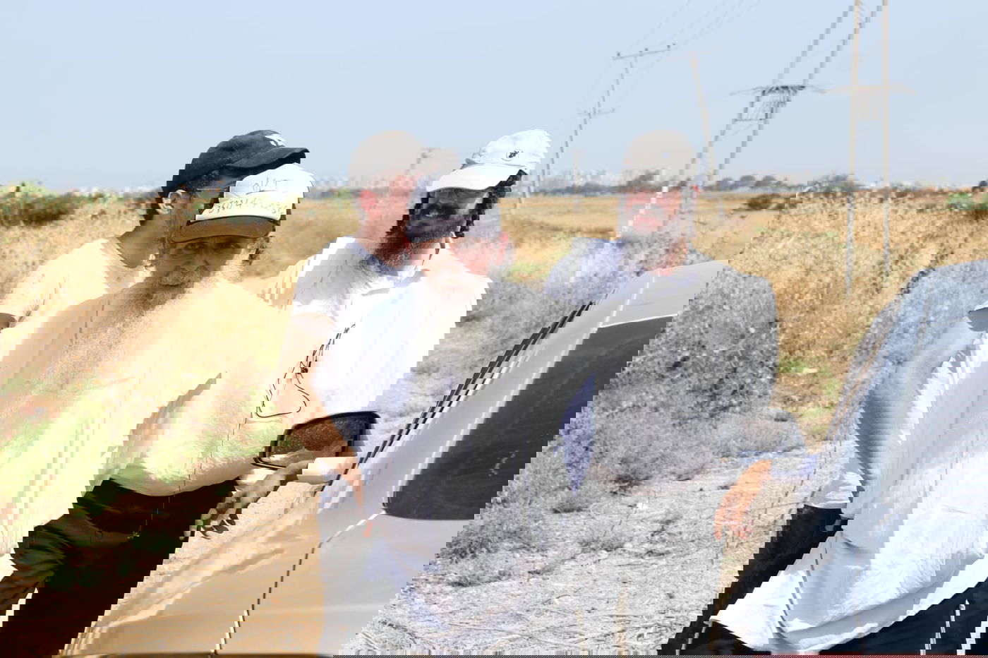 ה'חזונאישניקים' קצרו חיטים • צפו בתיעוד