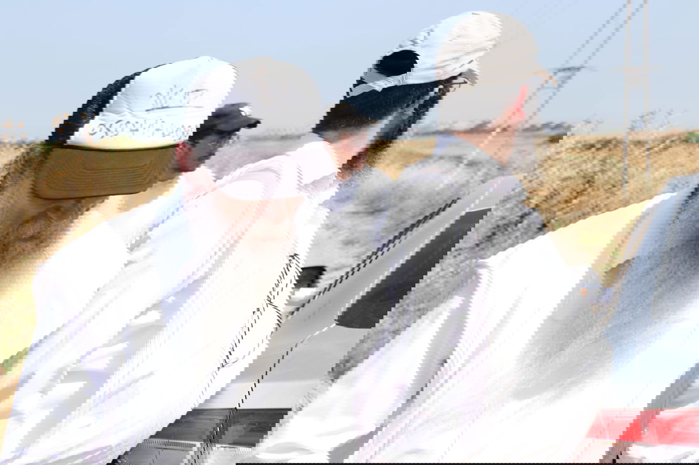 ה'חזונאישניקים' קצרו חיטים • צפו בתיעוד