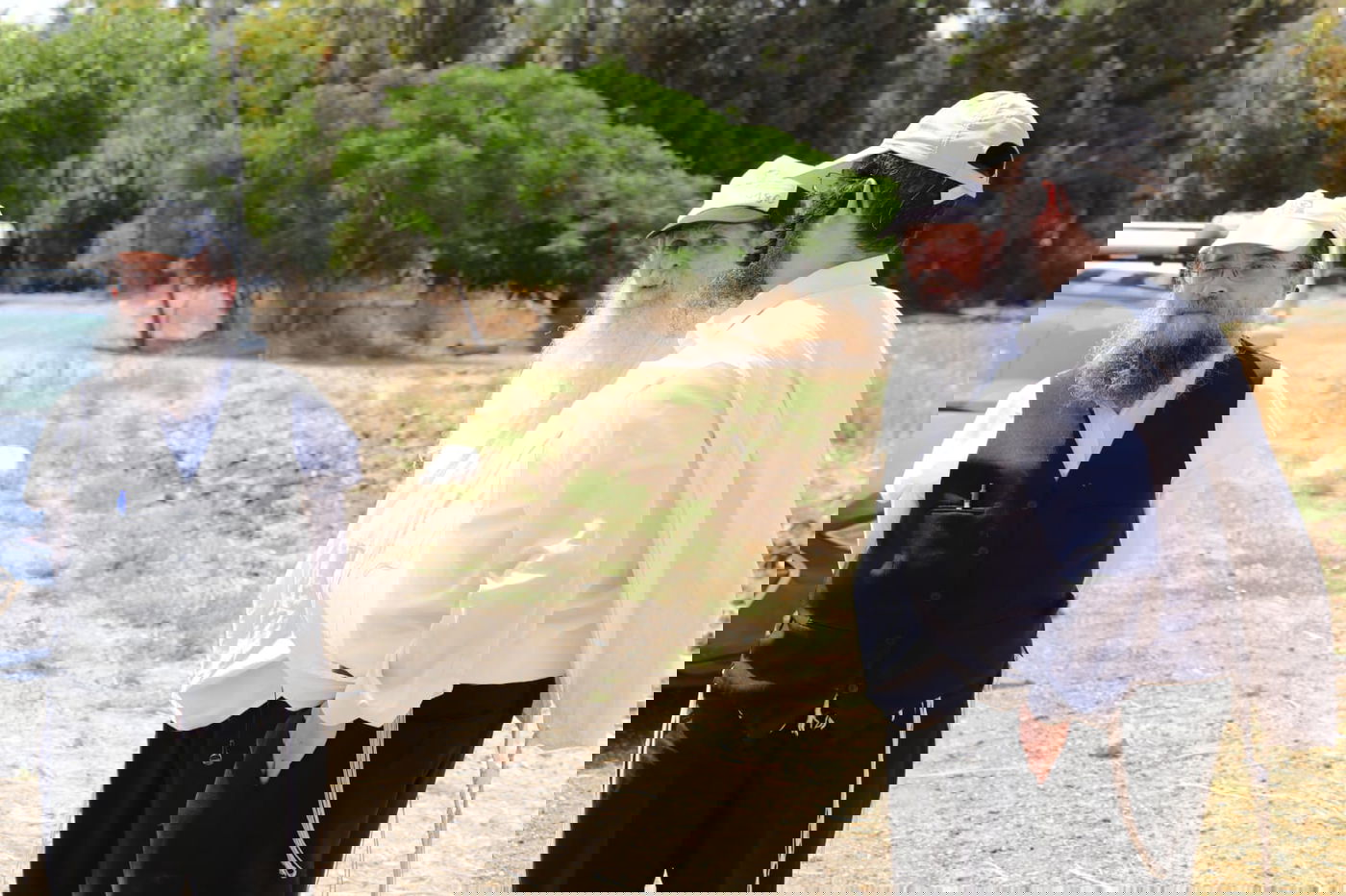 ה'חזונאישניקים' קצרו חיטים • צפו בתיעוד