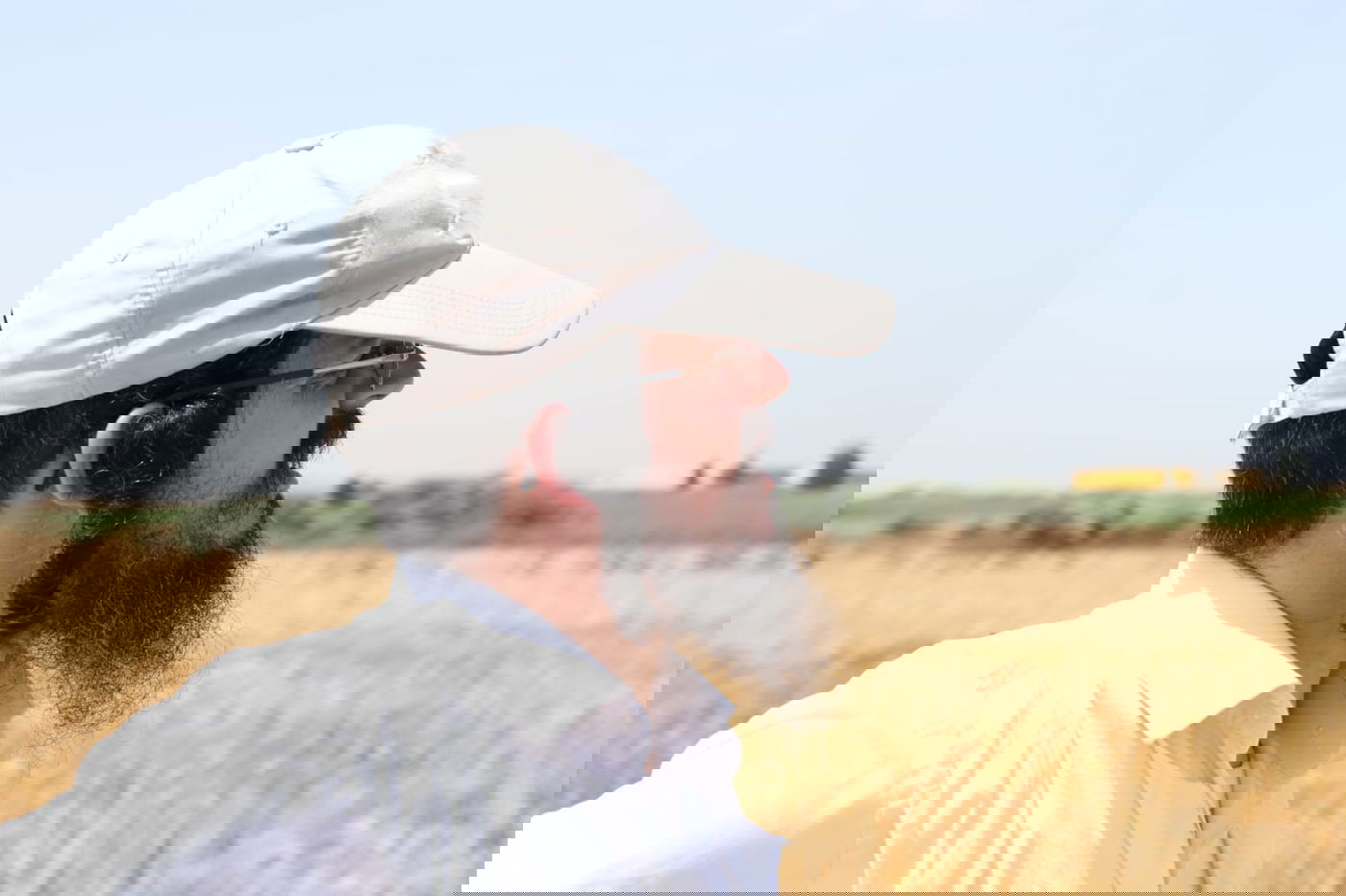 ה'חזונאישניקים' קצרו חיטים • צפו בתיעוד