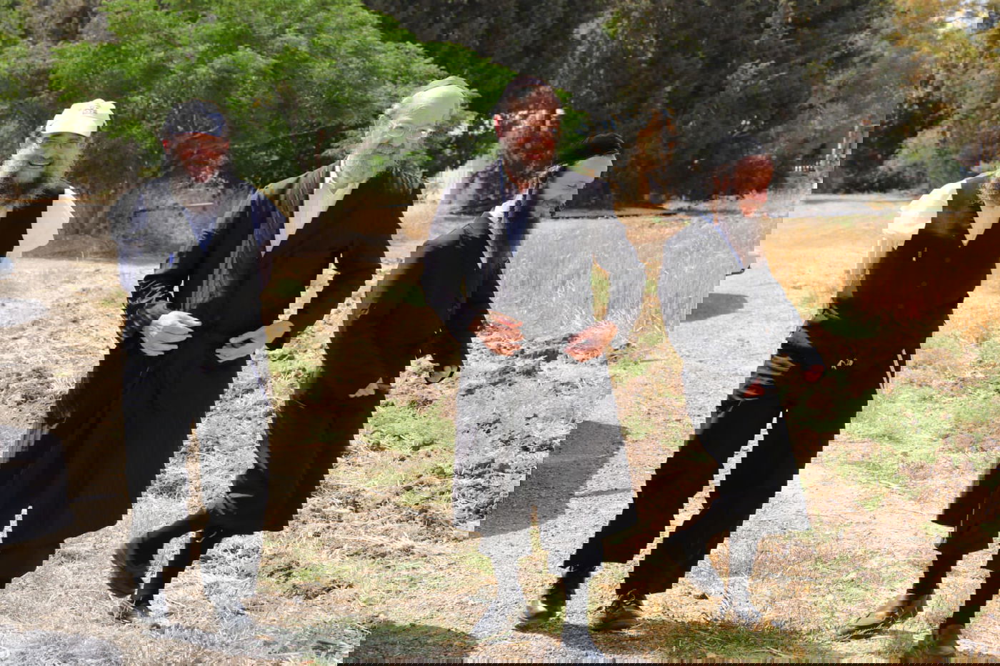 ה'חזונאישניקים' קצרו חיטים • צפו בתיעוד