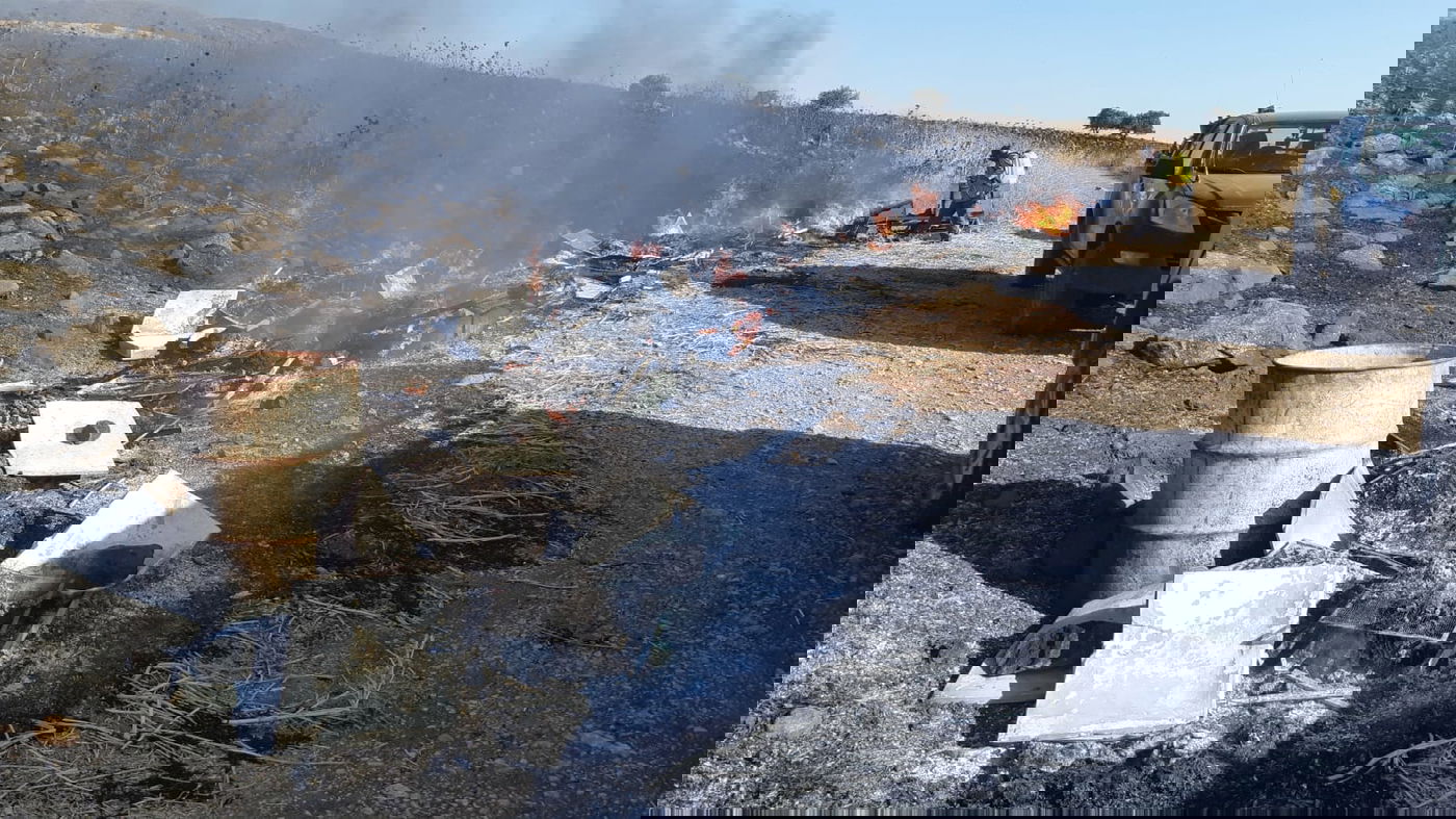 טרור חקלאי בצפון: נזקי ענק לכוורות בגולן