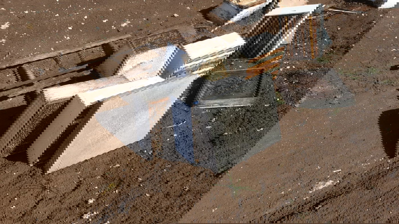 טרור חקלאי בצפון: נזקי ענק לכוורות בגולן