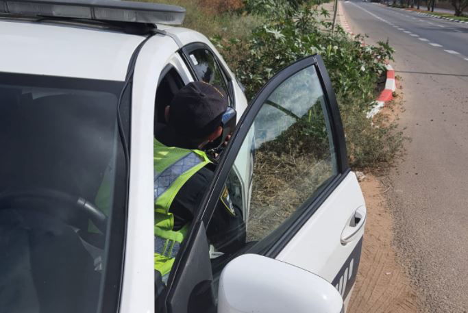 ממהלך הפעילות