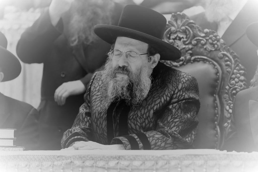 המונים קיבלו את פני הרבי מבאבוב 45