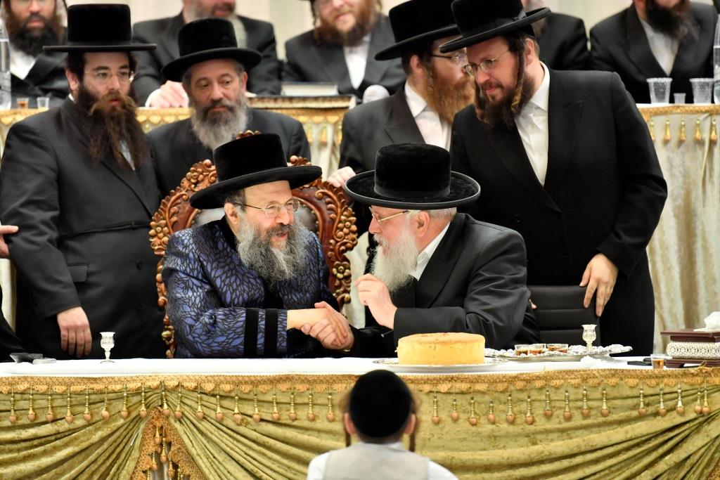 המונים קיבלו את פני הרבי מבאבוב 45