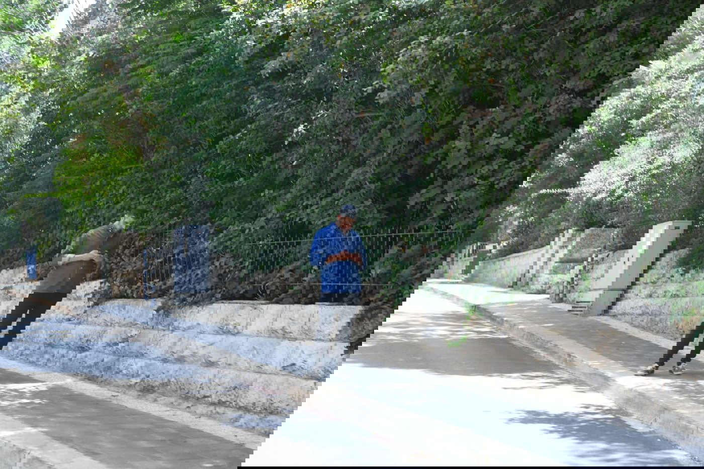 זופניק בכיכר • כל התמונות והנייעס של השבוע