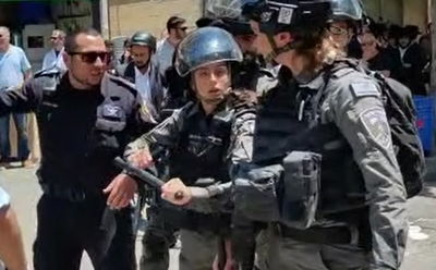 הח"כים נתקלו בקיצונים; השוטרים שלפו אלות