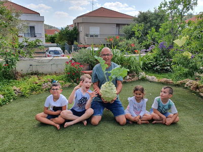 הקולרבי הפתיע וגדל פי 35 מקולורבי רגיל