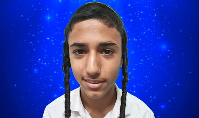 אלישיב טייבי