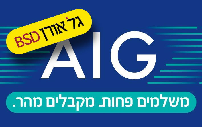 AIG היא קבוצת הביטוח הבינלאומית המובילה בעולם, שבסיסה בארה"ב