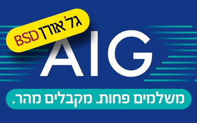 AIG היא קבוצת הביטוח הבינלאומית המובילה בעולם, שבסיסה בארה"ב
