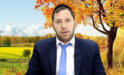 הרב נפתלי וסרמן על פרשת בלק • צפו