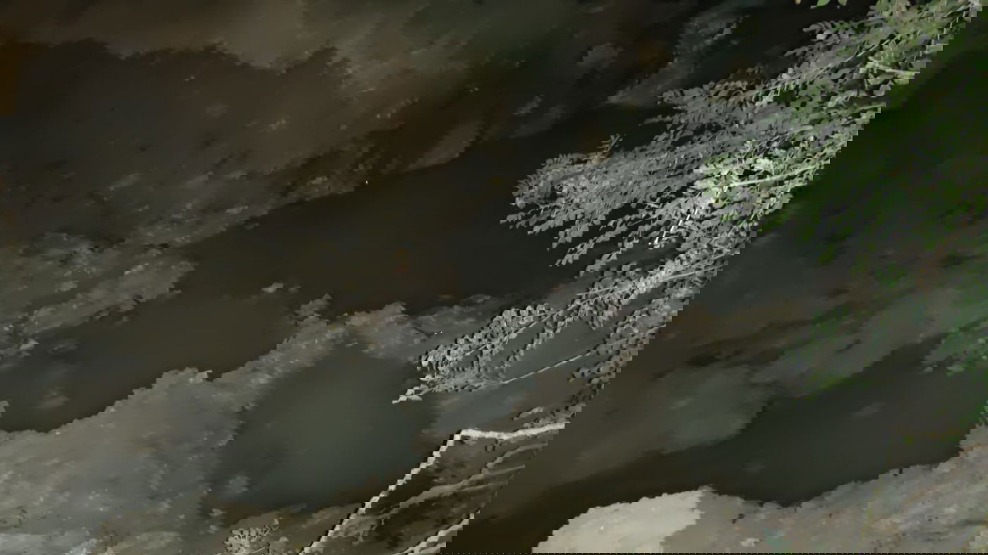 נער חרדי נמצא ללא רוח חיים לאחר שנאבד במהלך הטיול