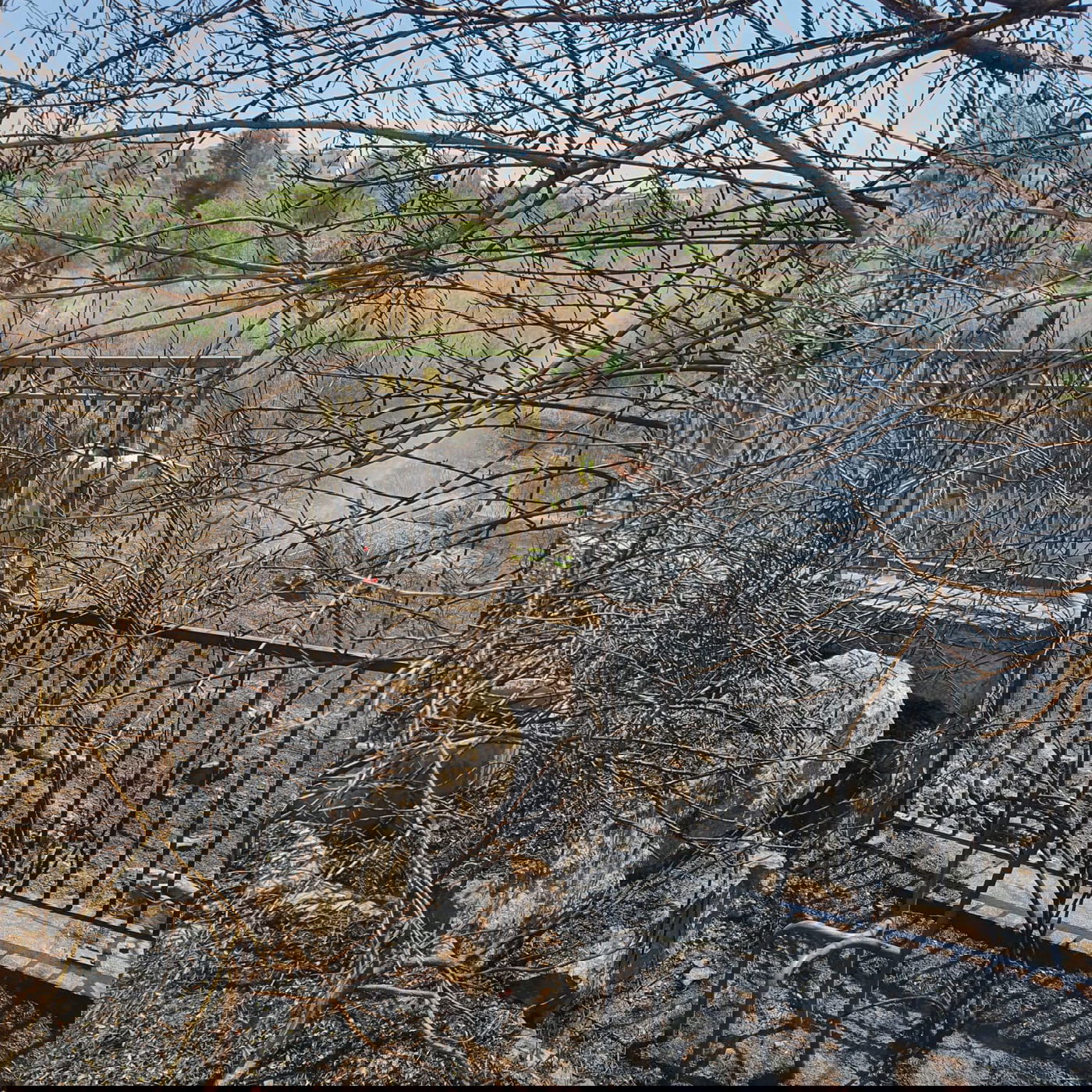 שריפה פרצה בעיר בית שמש, תושבים פונו