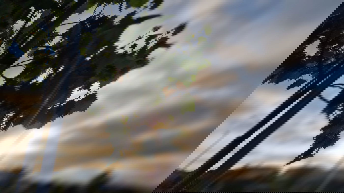 תיעוד עוצר נשימה: הזריחה בעתלית • צפו