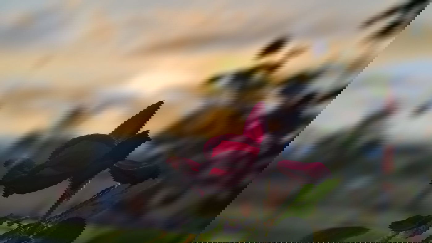 תיעוד עוצר נשימה: הזריחה בעתלית • צפו