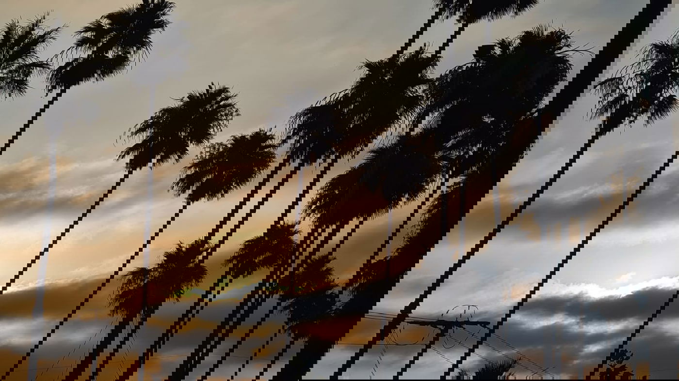 תיעוד עוצר נשימה: הזריחה בעתלית • צפו