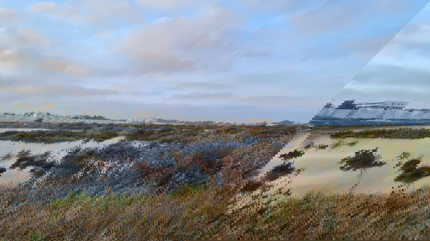 תיעוד עוצר נשימה: הזריחה בעתלית • צפו