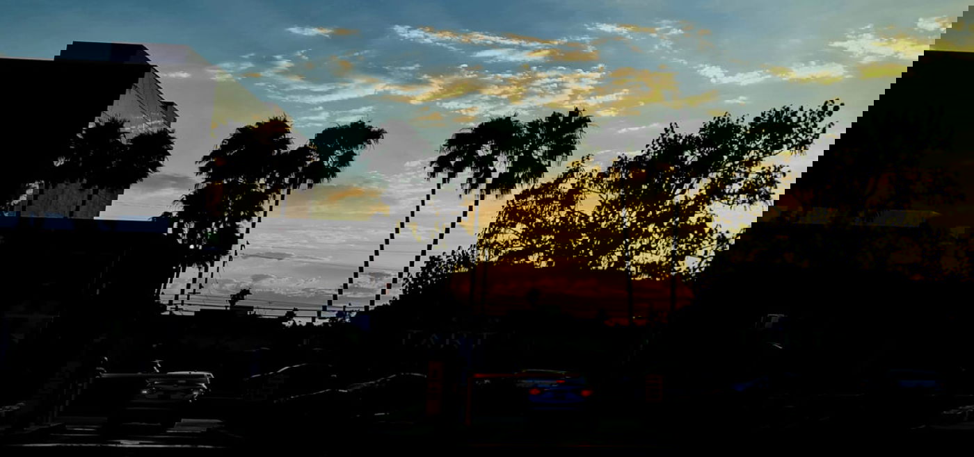 ביקור בניו יורק ובלוס אנג'לס בעדשת המצלמה