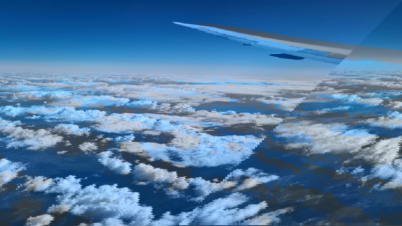 ביקור בניו יורק ובלוס אנג'לס בעדשת המצלמה