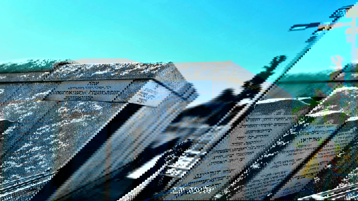 ביקור בניו יורק ובלוס אנג'לס בעדשת המצלמה