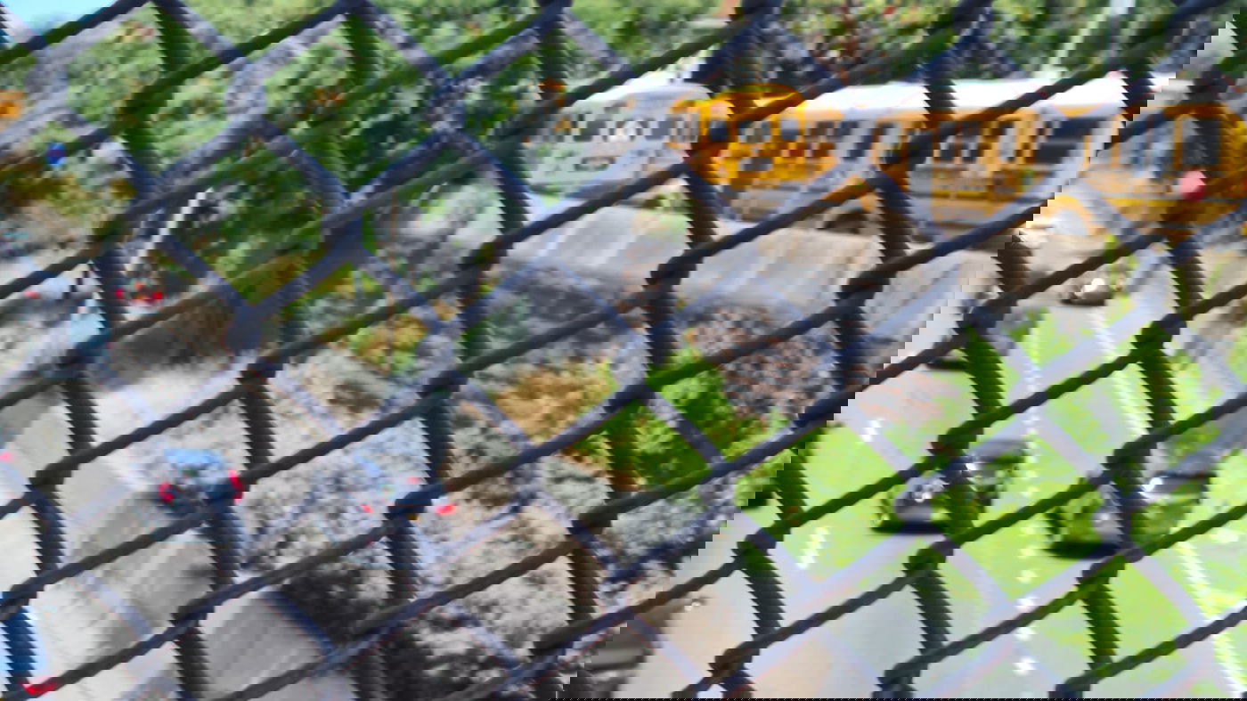 ביקור בניו יורק ובלוס אנג'לס בעדשת המצלמה