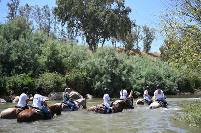 מתקרררים עם הסוסים במי הירדן