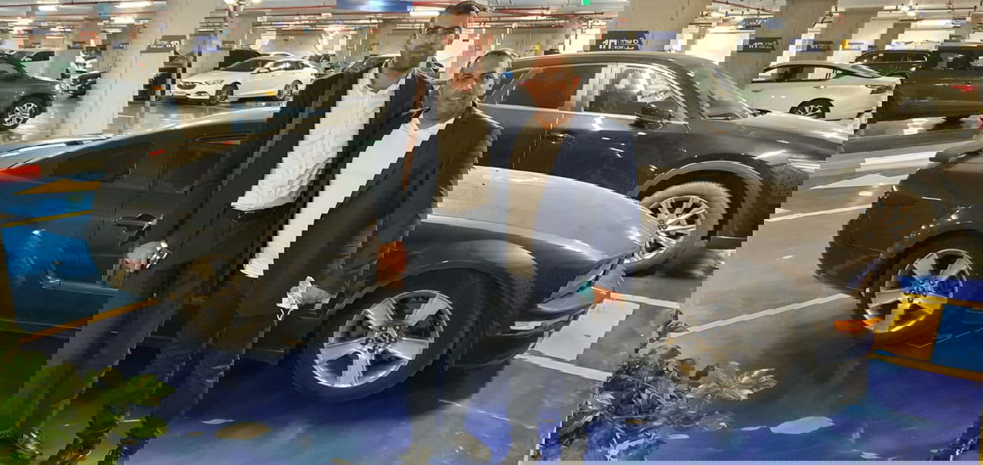 זופניק בכיכר • כל התמונות והנייעס של השבוע