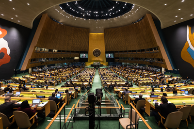 מליאת האו"ם