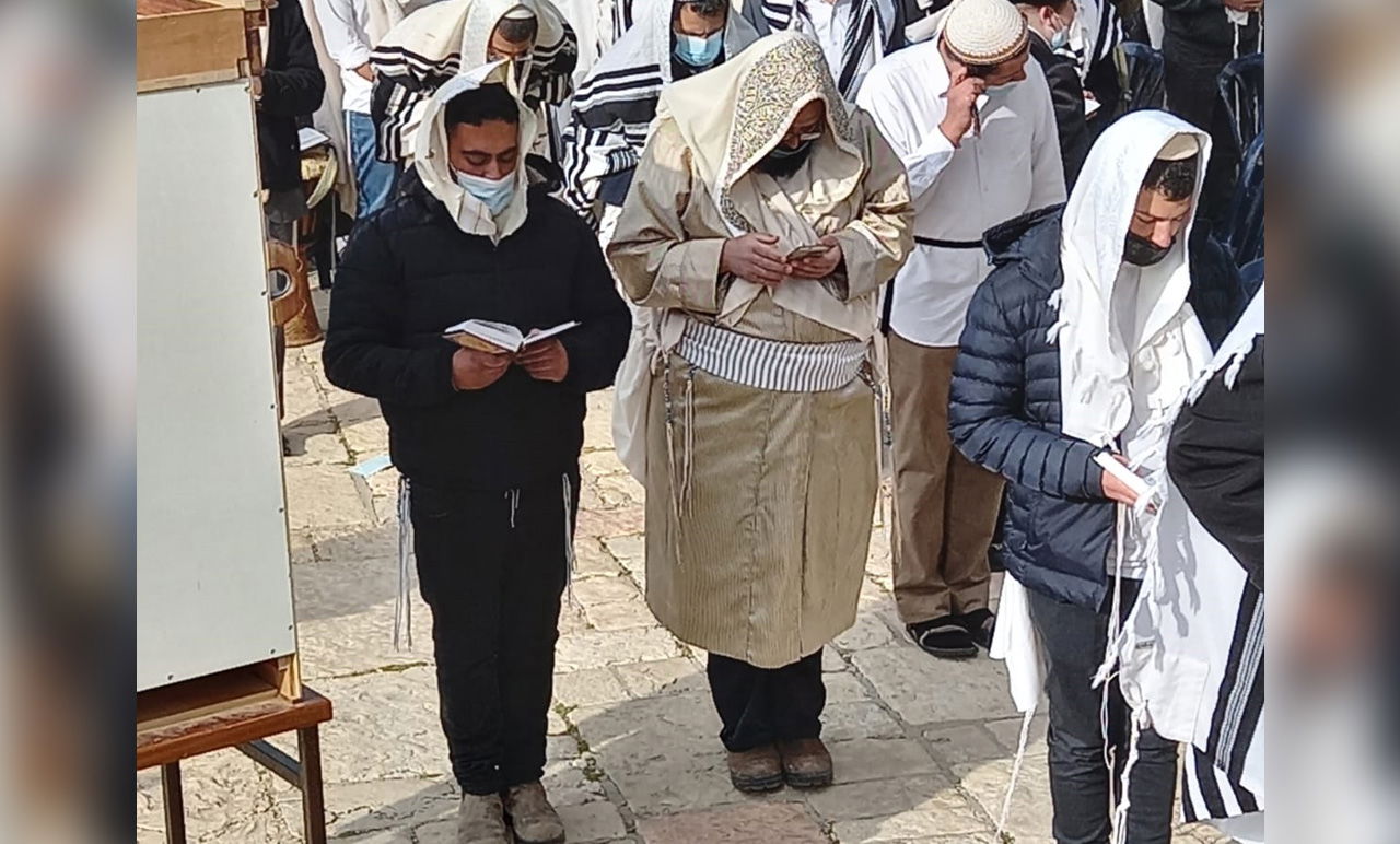 'זברה' במערת המכפלה