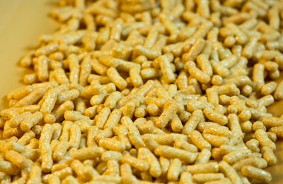 טור כאב נוקב: "ילד של במבה נטול אישיות"