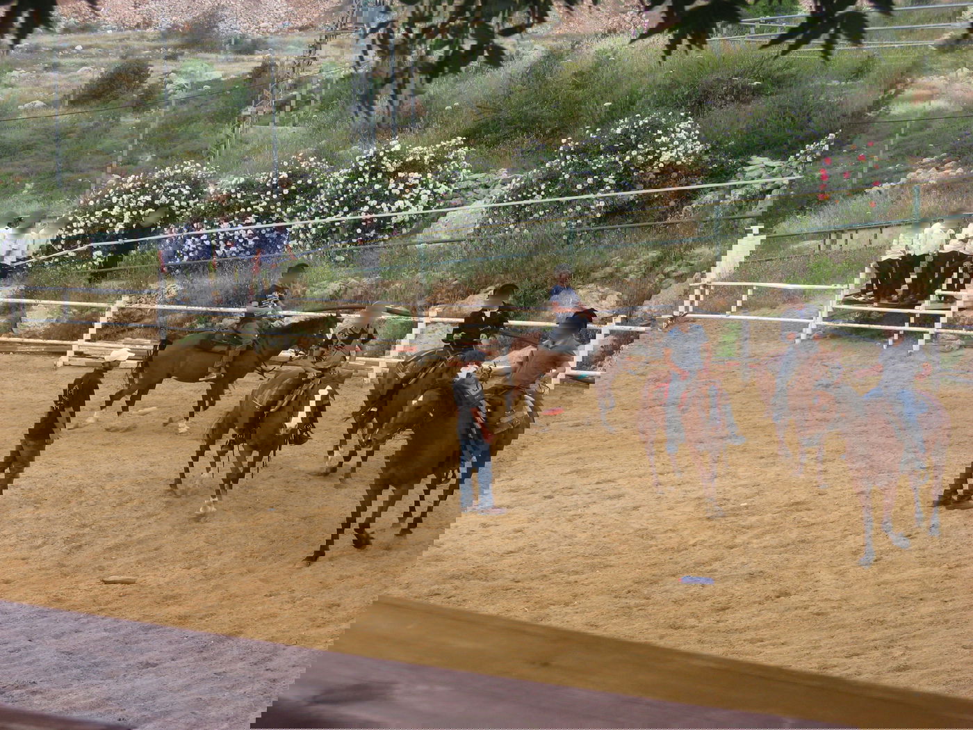 "המייחד אותנו הוא האווירה המשפחתית שעוטפת"