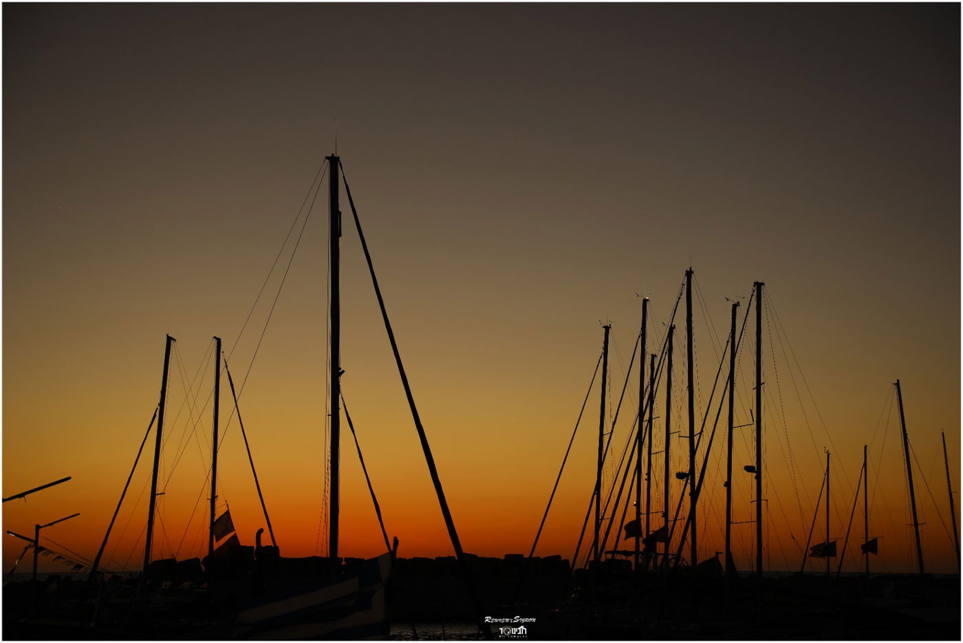 גלריה קיצית: החופש של נמל יפו העתיקה