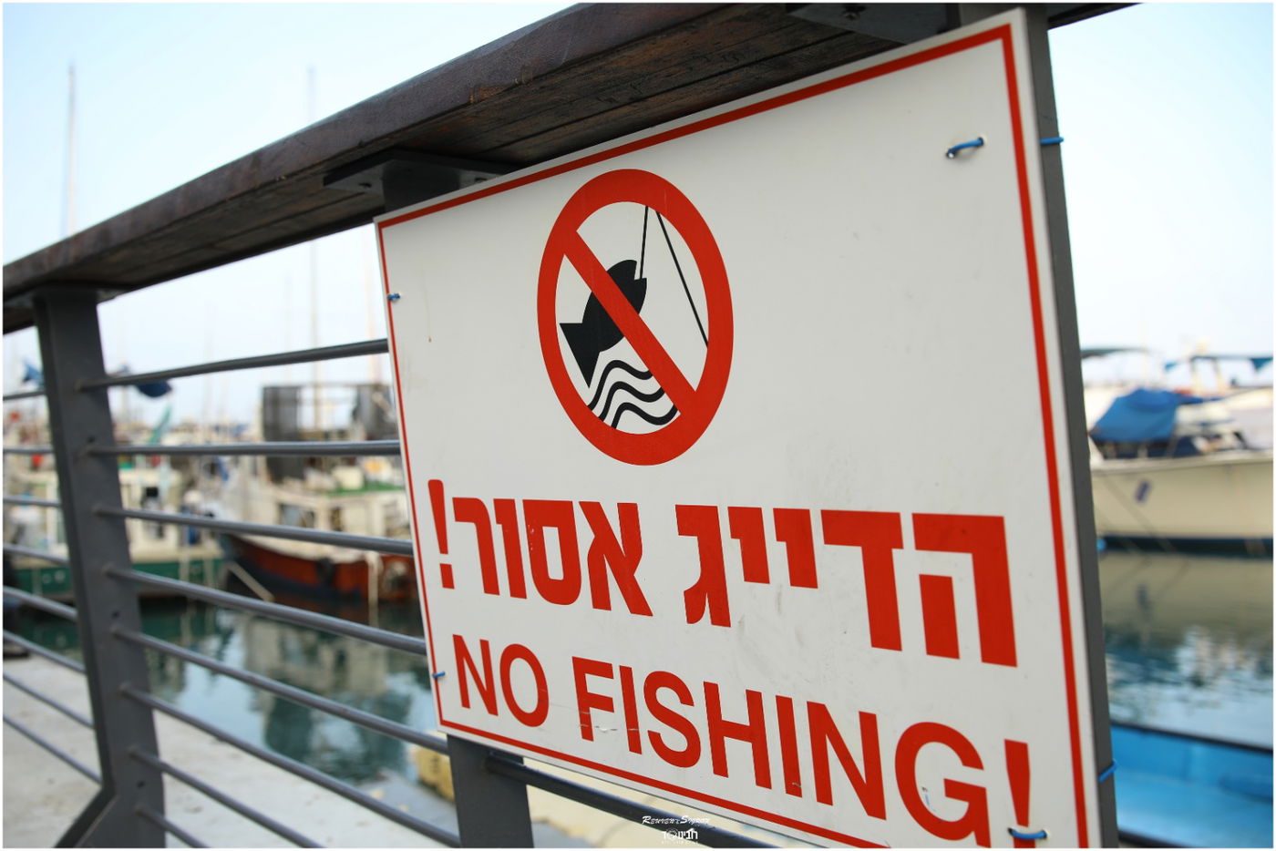 גלריה קיצית: החופש של נמל יפו העתיקה